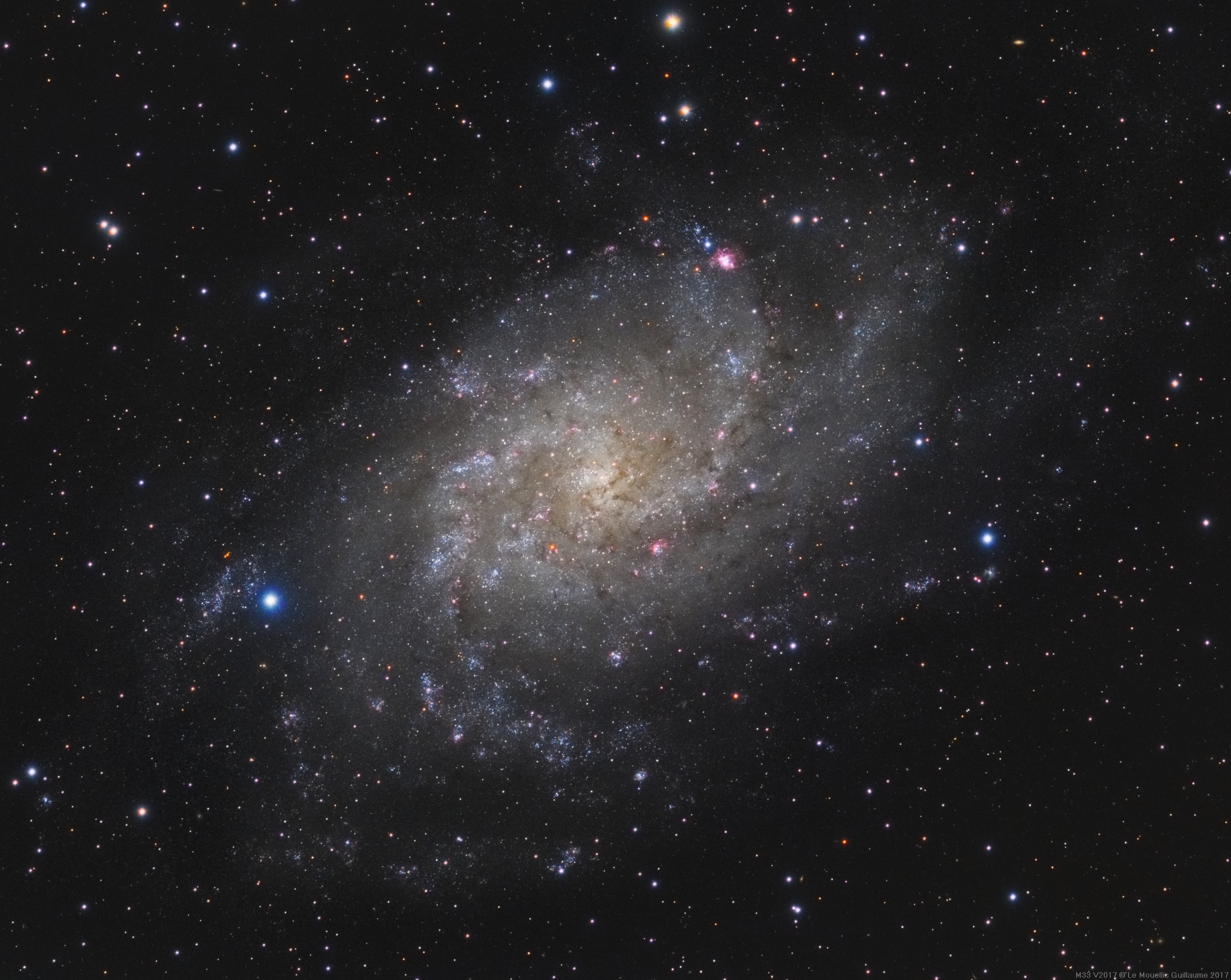 M33