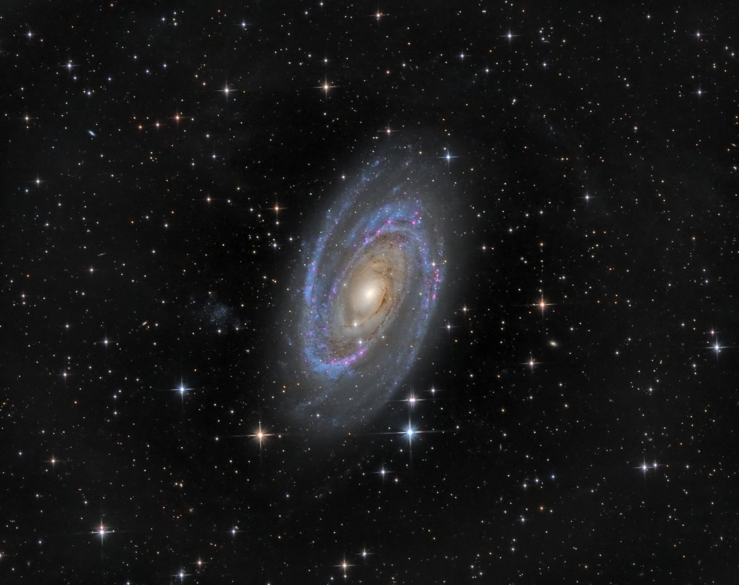 M81