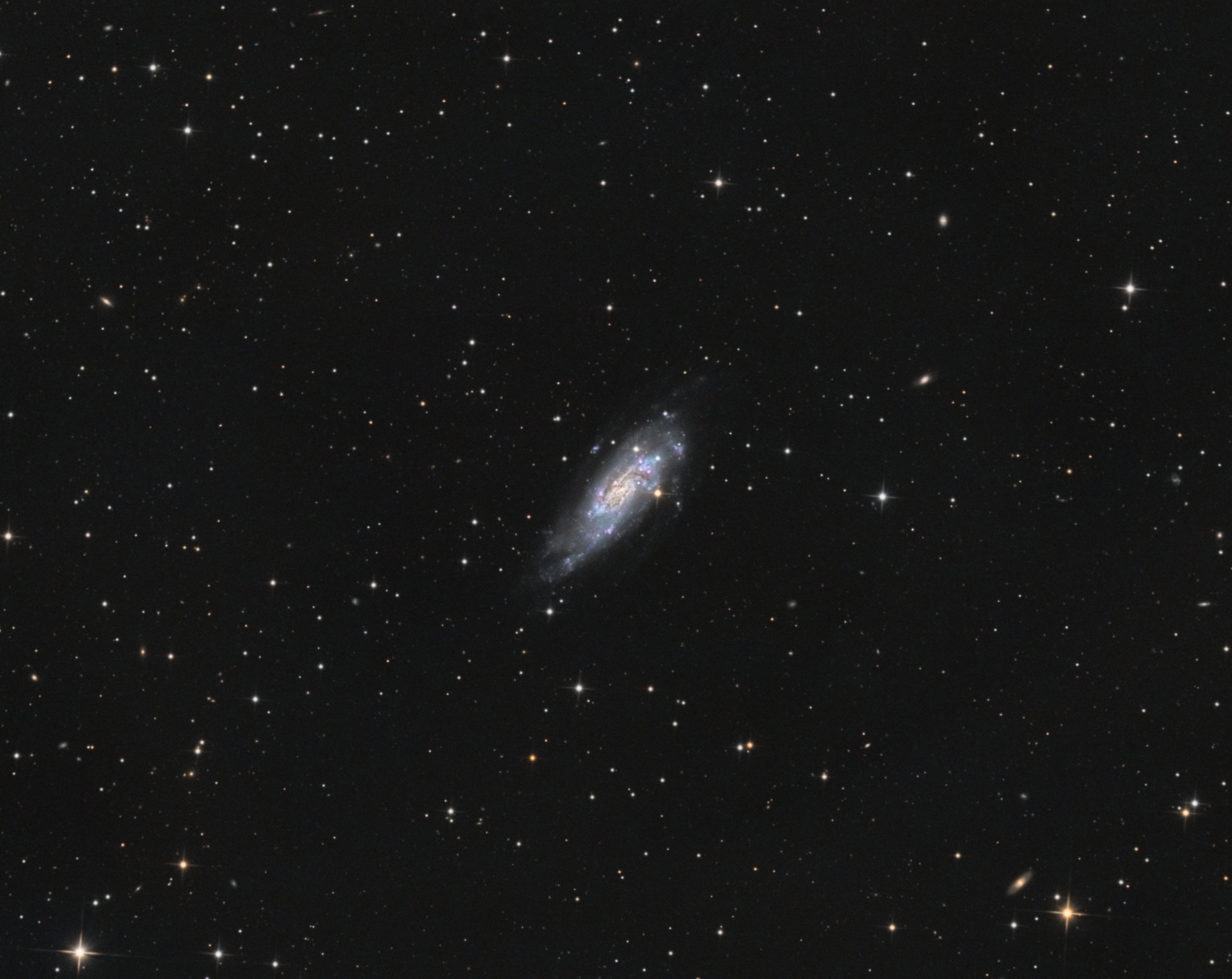 NGC4559