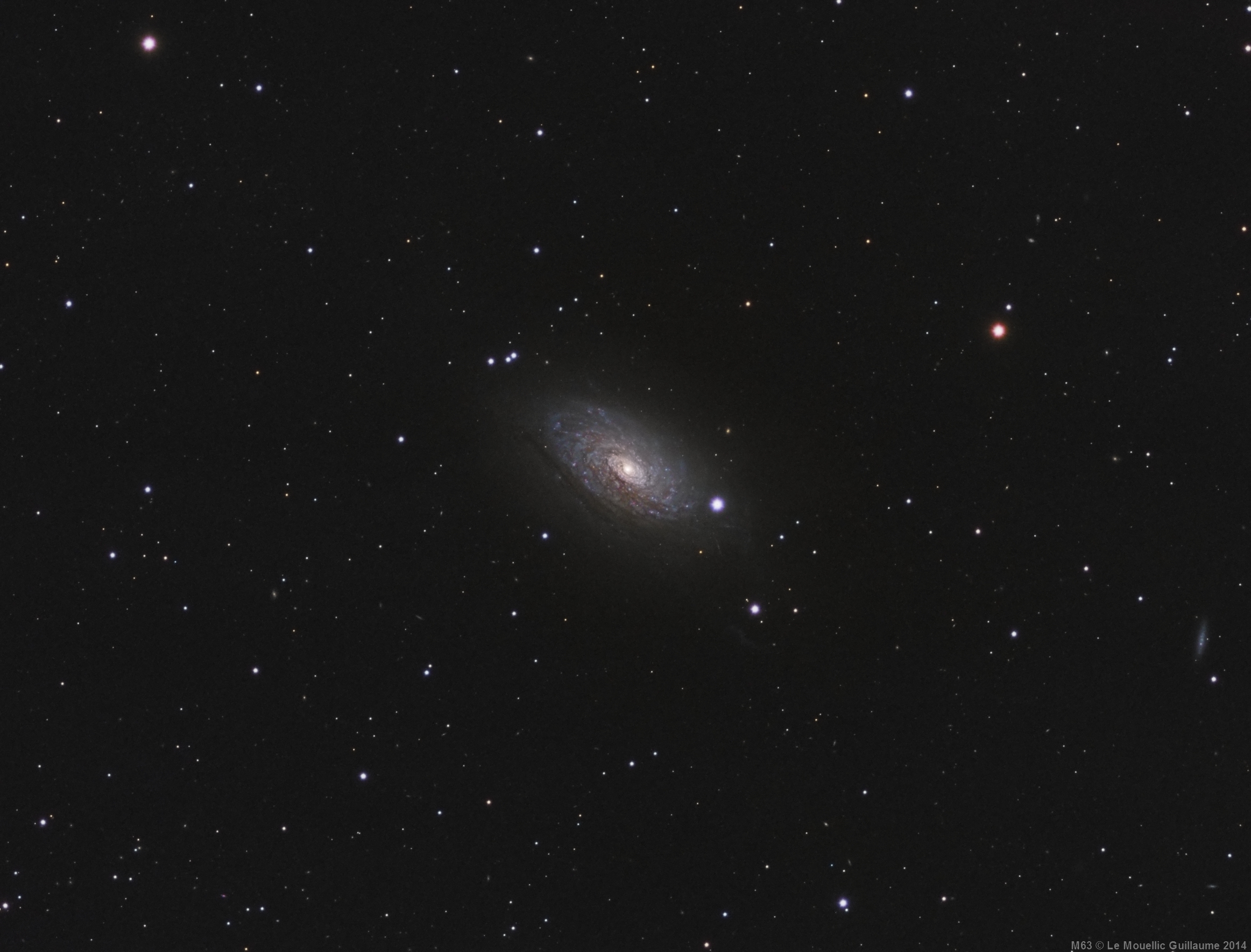 M63