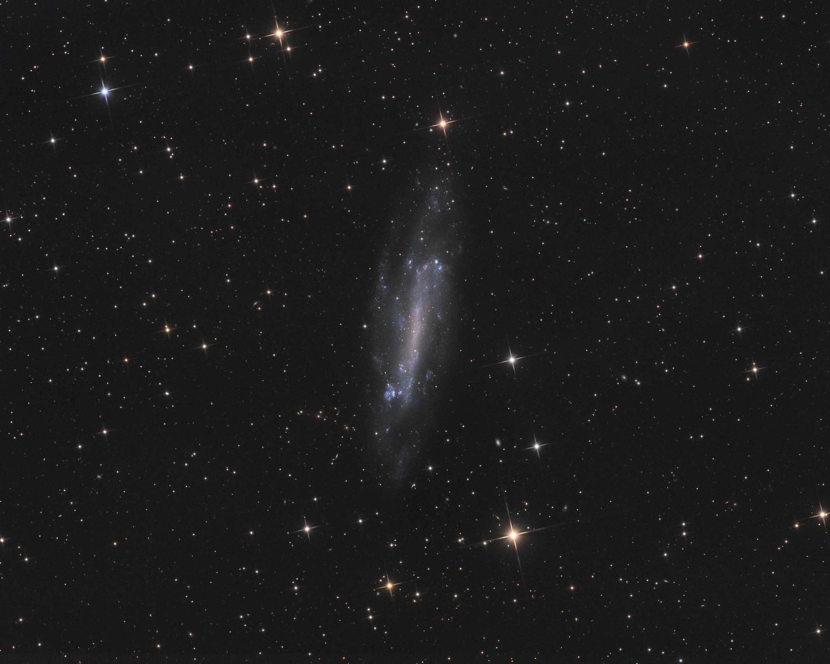 NGC 4236